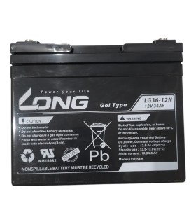 PAR de baterías LONG LG36-12N 12v 36Ah